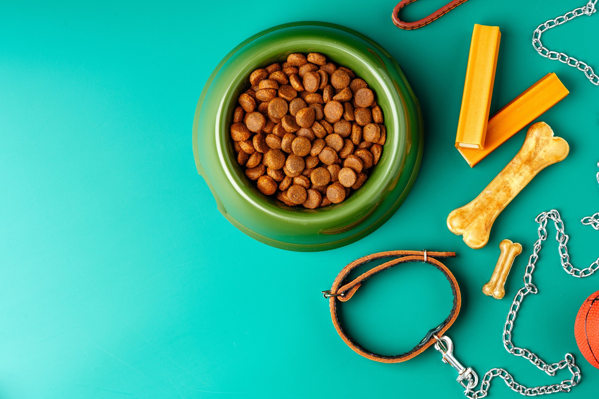 Dog dry food in bowl, toy ball and leash on green background